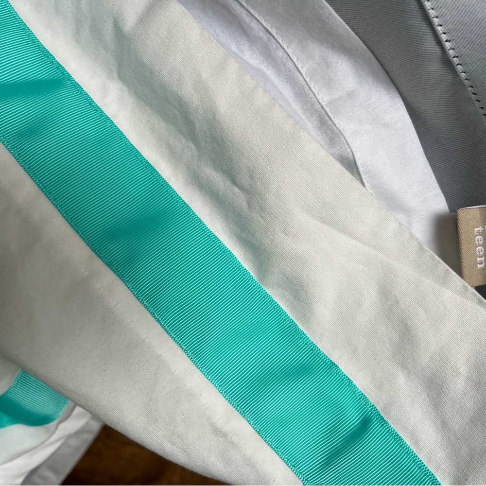 POTTERY BARN -PAIR OF PBTEEN SUITE RIBBON BLACKOUT CURTAINS - Picture 8 of 8